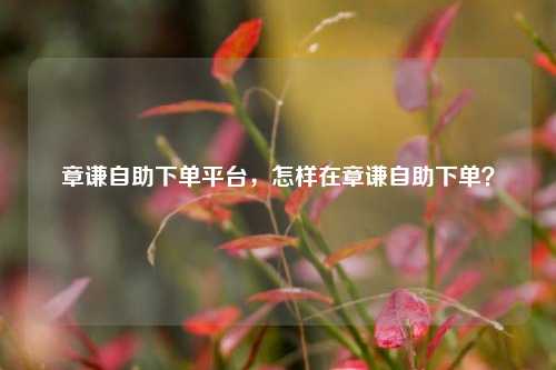 章谦自助下单平台，怎样在章谦自助下单？