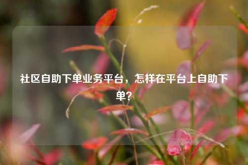 社区自助下单业务平台，怎样在平台上自助下单？
