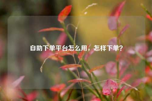 自助下单平台怎么用，怎样下单？