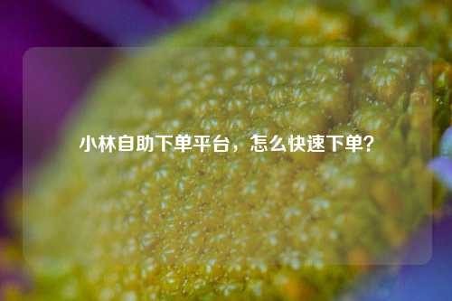 小林自助下单平台，怎么快速下单？