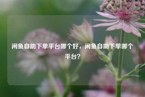 闲鱼自助下单平台哪个好，闲鱼自助下单哪个平台？