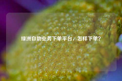 绿洲自助业务下单平台，怎样下单？