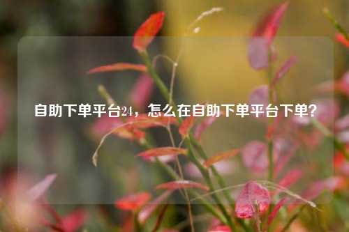 自助下单平台24，怎么在自助下单平台下单？