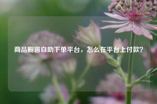 商品橱窗自助下单平台，怎么在平台上付款？