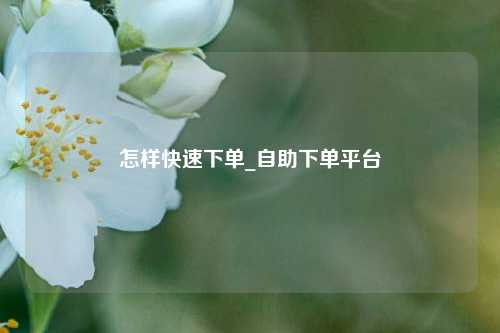 怎样快速下单_自助下单平台