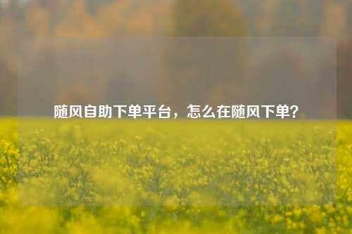 随风自助下单平台，怎么在随风下单？