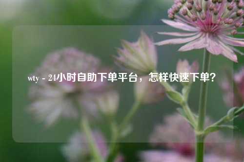 wty - 24小时自助下单平台，怎样快速下单？