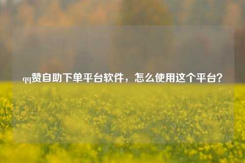 qq赞自助下单平台软件，怎么使用这个平台？