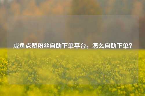 咸鱼点赞粉丝自助下单平台，怎么自助下单？