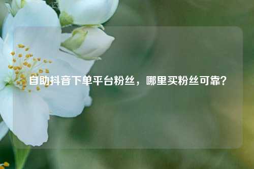 自助抖音下单平台粉丝，哪里买粉丝可靠？