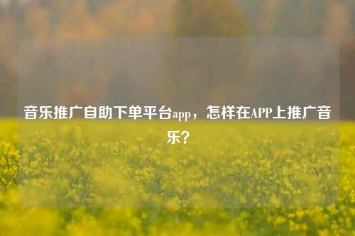 音乐推广自助下单平台app，怎样在APP上推广音乐？