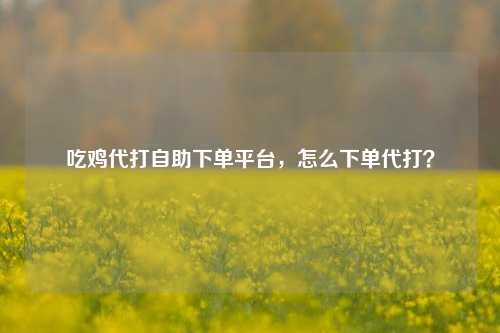 吃鸡代打自助下单平台，怎么下单代打？