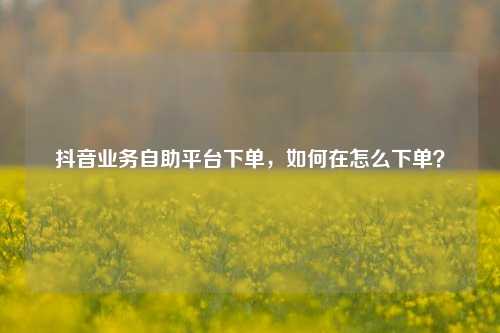 抖音业务自助平台下单，如何在怎么下单？
