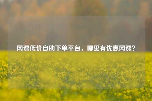 网课低价自助下单平台，哪里有优惠网课？