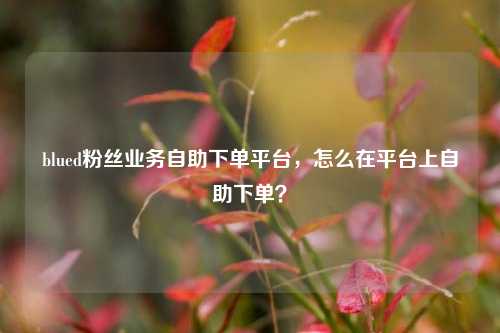 blued粉丝业务自助下单平台，怎么在平台上自助下单？