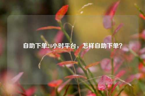 自助下单24小时平台，怎样自助下单？