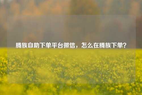 腾族自助下单平台微信，怎么在腾族下单？