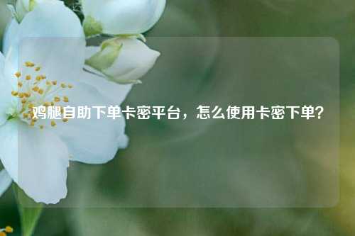 鸡腿自助下单卡密平台，怎么使用卡密下单？