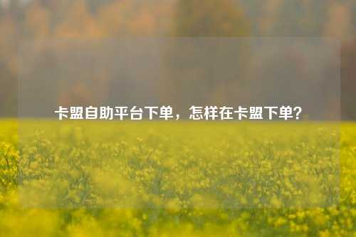 卡盟自助平台下单，怎样在卡盟下单？