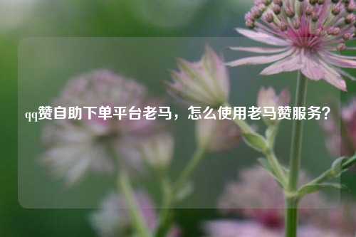 qq赞自助下单平台老马，怎么使用老马赞服务？