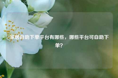 家居自助下单平台有哪些，哪些平台可自助下单？