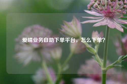 爱晴业务自助下单平台，怎么下单？